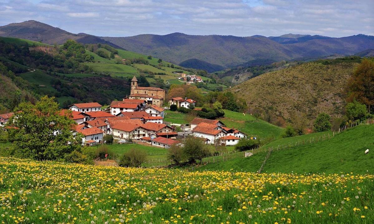 Pedroenea Apartamento Elizondo Buitenkant foto